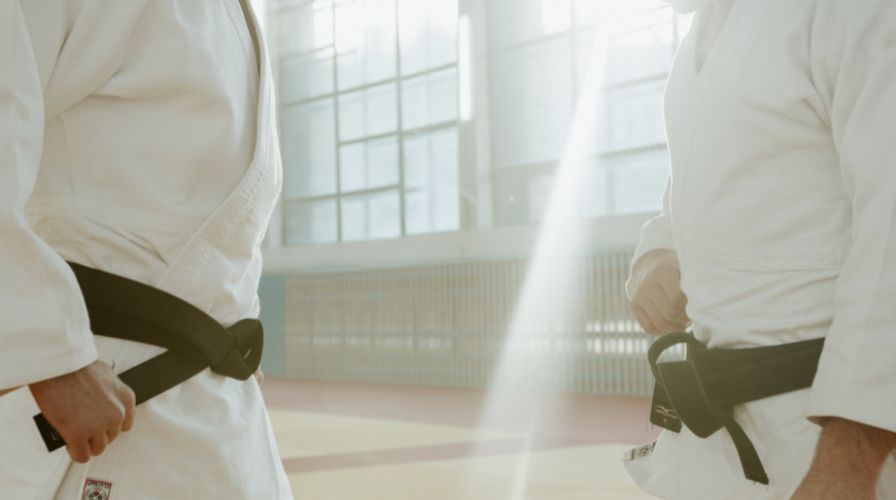 guía artes marciales